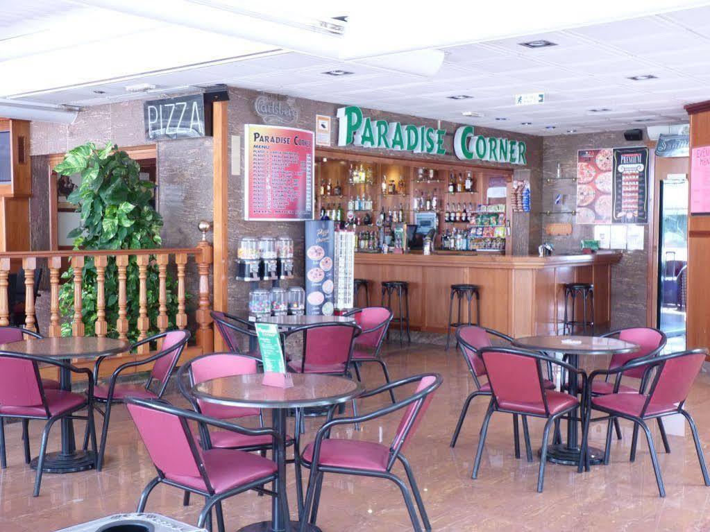 Apartamentos Paraiso 10 貝尼多姆 外观 照片